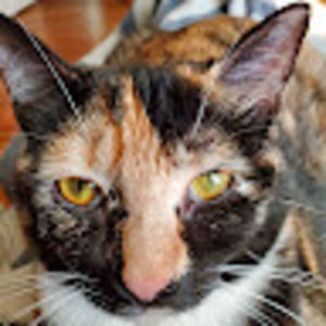 Meet your Posher, Karen